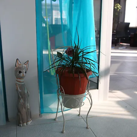 Hotel City 2* 부르가스